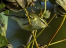 YBW_2091.jpg