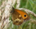 Gatekeeper_CCP_13-07-2008_lbc.jpg