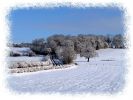 Copy_of_Elsham_Hill,in_the_snow,Lincolnshire.jpg