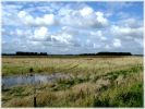 Worlaby_Carrs,North_Lincolnshire.jpg