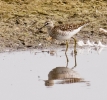 woodsand706.jpg