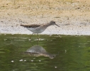 woodsand733.jpg